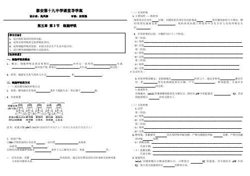 细胞呼吸导学案