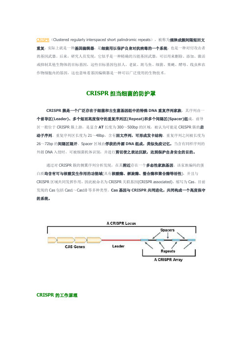 CRISPR原理