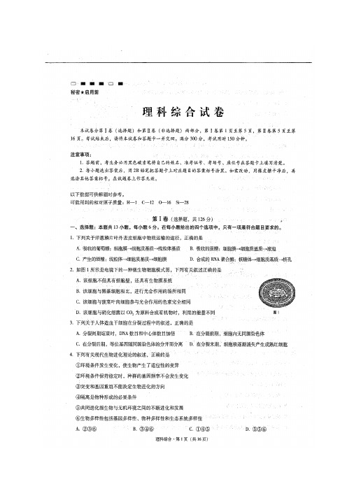 云南省师范大学附属中学高三上学期高考适应性考试月考(四)(图片)——理综理综