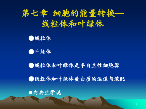 5叶绿体和线粒体PPT课件