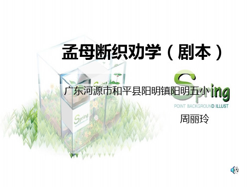 孟母断织劝学(课件)