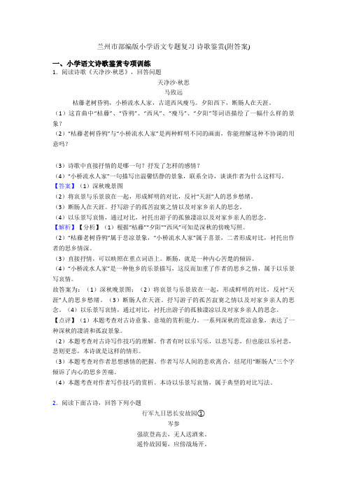 兰州市部编版小学语文专题复习 诗歌鉴赏(附答案)