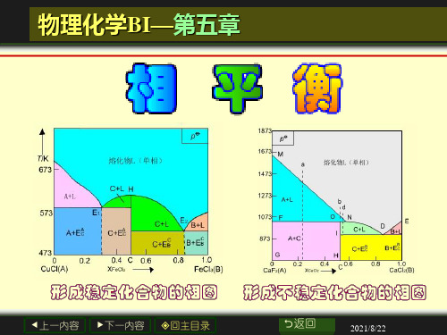 大学物理化学经典课件相图