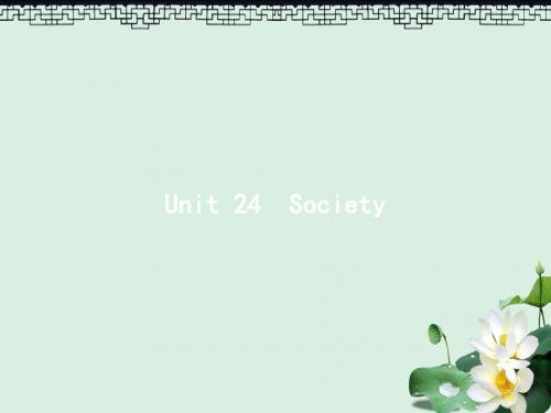高考英语总复习Unit24Society课件北师大版选修8