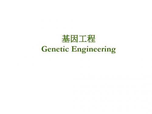生化基因工程课件