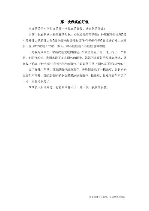 那一次我真的好傻_小学作文