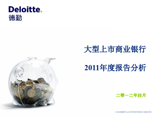 大型上市商业银行报告分析(赵耀)