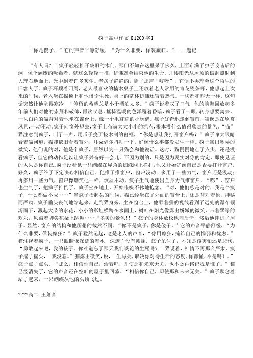 疯子 新高中作文精选【1200字】