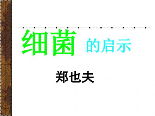 《细菌的启示》PPT(上课用)3
