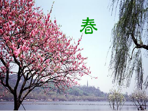 新人教版七年级上册语文 11 春(课件1)