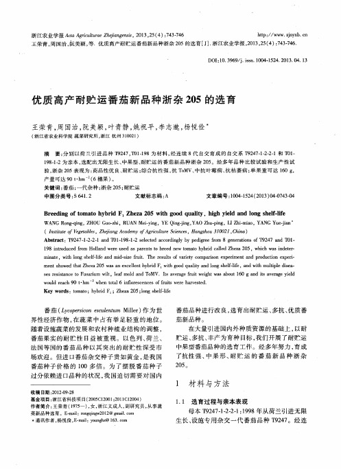 优质高产耐贮运番茄新品种浙杂205的选育