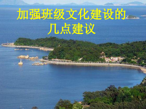 班级文化建设的几点建议