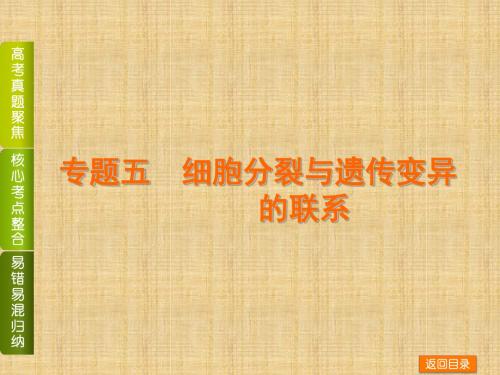 高考生物二轮复习(高考真题聚焦+核心考点整合+易错易混归纳)专题五 细胞分裂与遗传变异的联系名师优质课