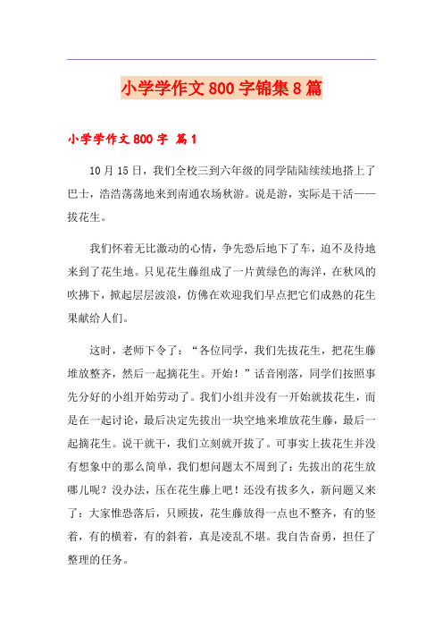 (精选)小学学作文800字锦集8篇