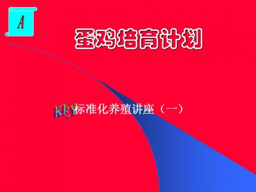 蛋鸡标准化养殖讲座