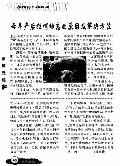 母羊产后拒哺幼崽的原因及解决方法
