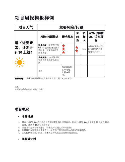 某知名IT企业项目周报模板样例
