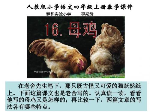 人教版四年级上册语文16《母鸡》(李期绣)