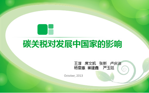 碳关税对发展中国家的影响概要