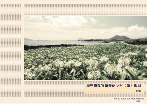 盐官美丽乡村