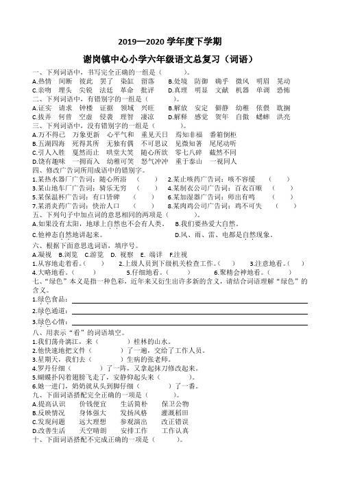 2019—2020学年度下学期六年级语文总复习(词语) 