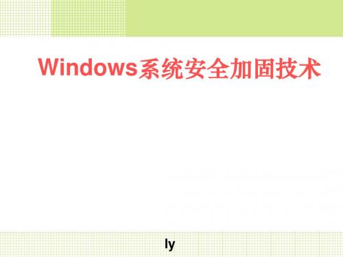Windows安全系统加固技术