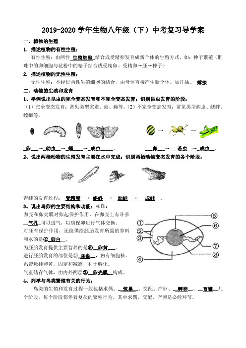2019-2020学年生物八年级(下)中考复习导学案和答案