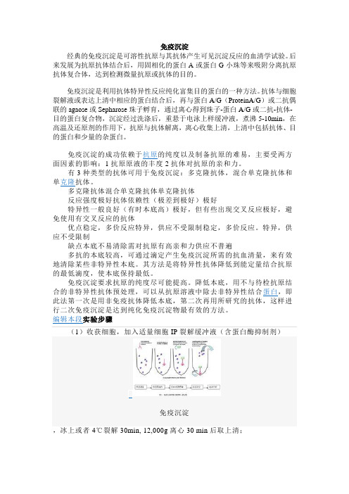 免疫沉淀