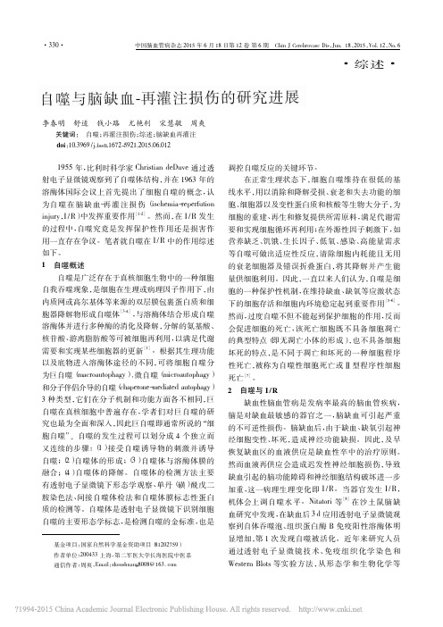 自噬与脑缺血_再灌注损伤的研究进展_李春明