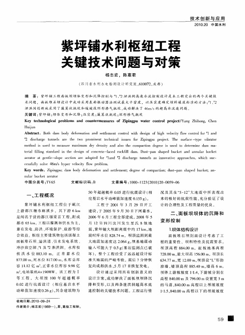 紫坪铺水利枢纽工程关键技术问题与对策