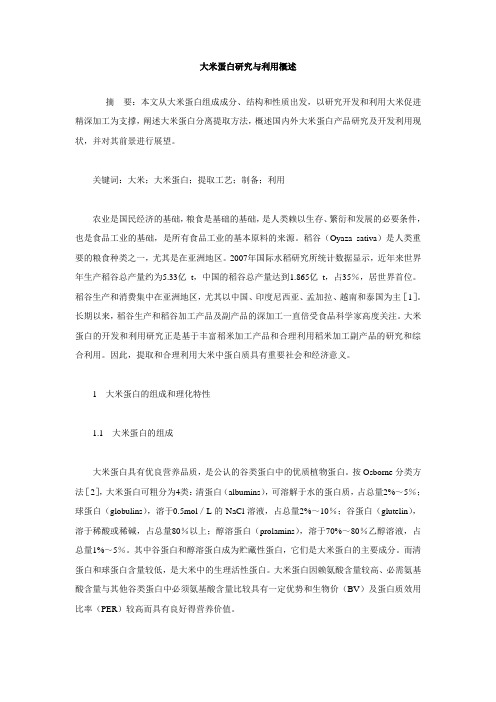 大米蛋白研究与利用概述