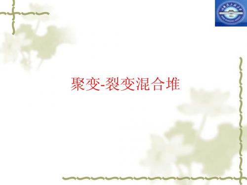 核聚变与等离子体物理 混合堆