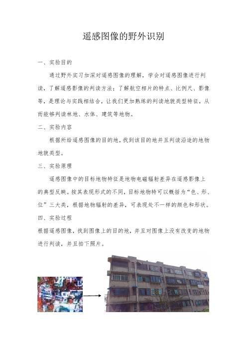 遥感图像的野外识别1