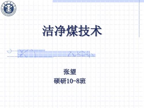 洁净煤技术