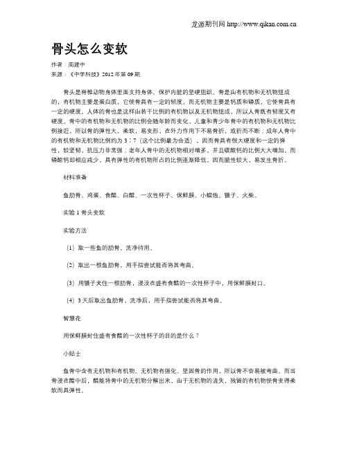 骨头怎么变软