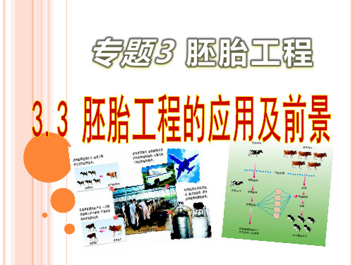 3.3胚胎工程的应用及前景 (共33张PPT)