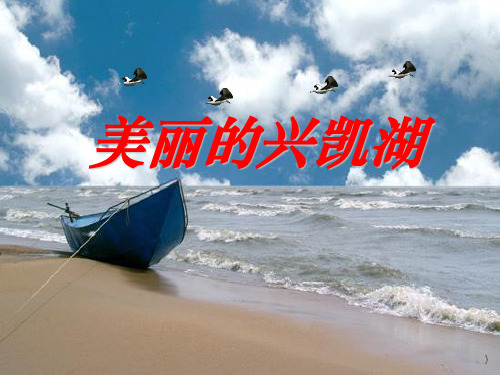 《美丽的兴凯湖》PPT课件(1)