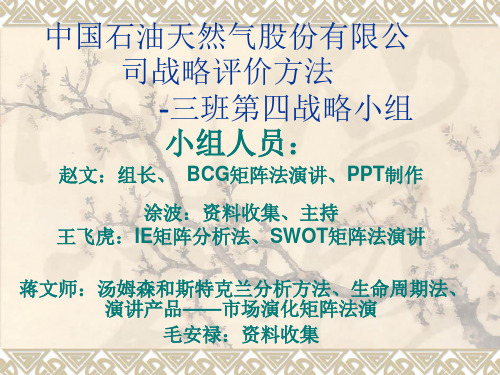 中石油具体战略分析
