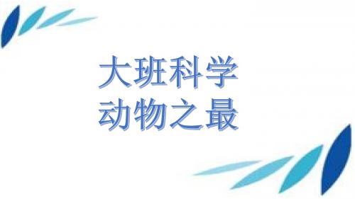 动物之最