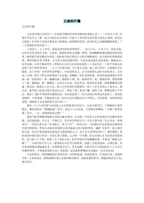 高中语文情感美文父亲的叮嘱