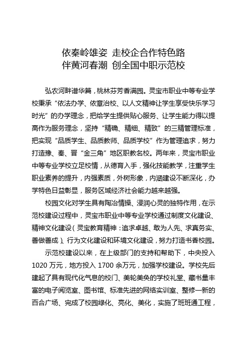 职业中专国家级示范校验收专题片