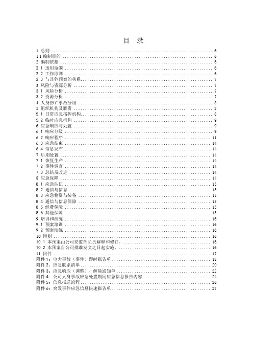 电网有限责任公司人身事故应急预案