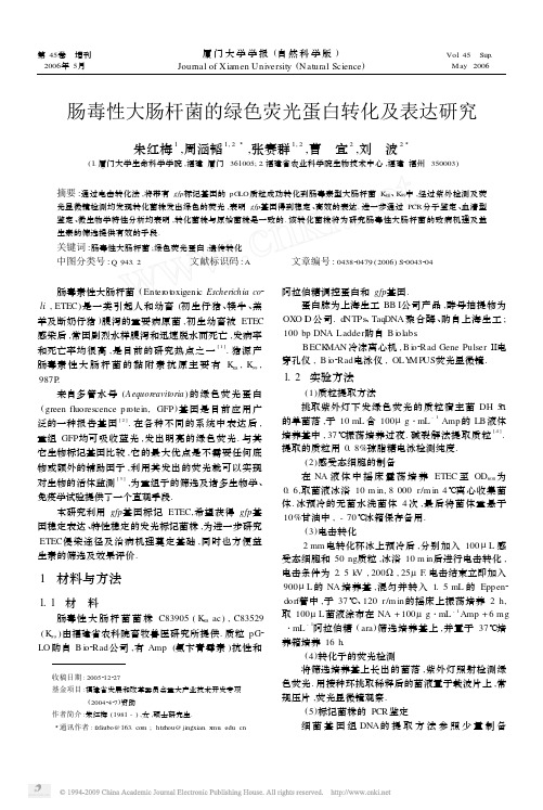 肠毒性大肠杆菌的绿色荧光蛋白转化及表达研究