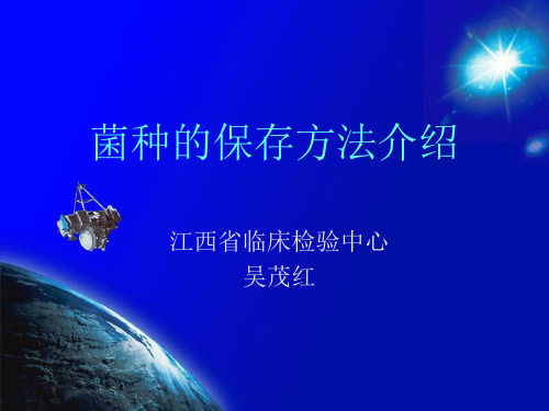 菌种的保存方法介绍