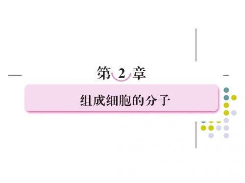 必修一组成细胞的分子