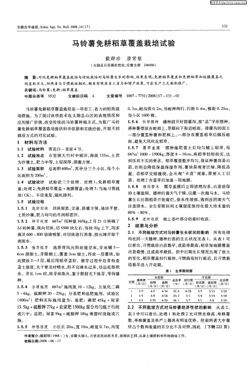 马铃薯免耕稻草覆盖栽培试验
