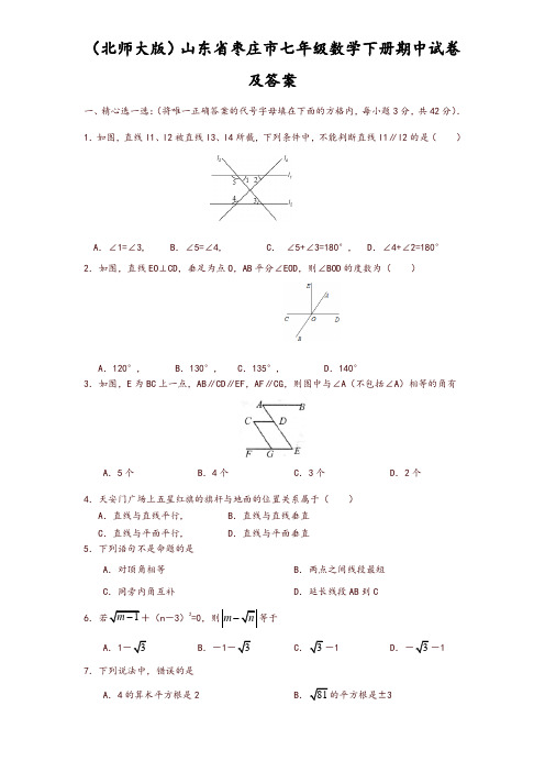(北师大版)山东省枣庄市七年级数学下册期中试卷及答案【精品】
