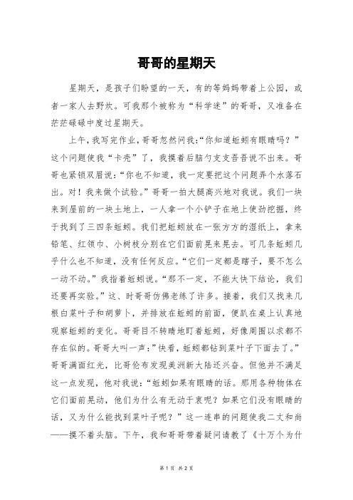 哥哥的星期天_初一作文