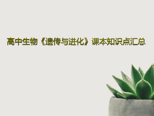高中生物《遗传与进化》课本知识点汇总72页PPT
