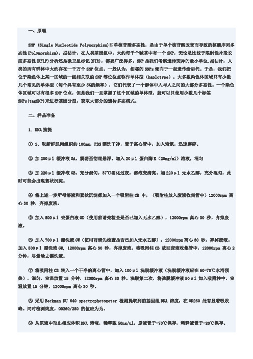 SNP实验标准操作规程